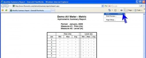 Printing Monthly Summary Report Table
