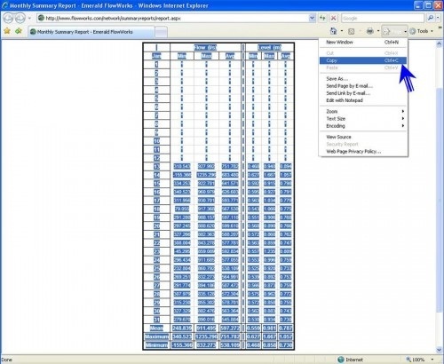 Exporting Monthly Summary Report Table to Excel
