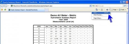 Printing Yearly Summary Report