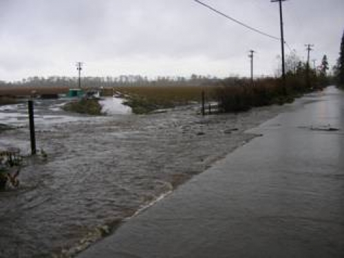 flood flood