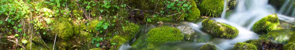 head-streamflow